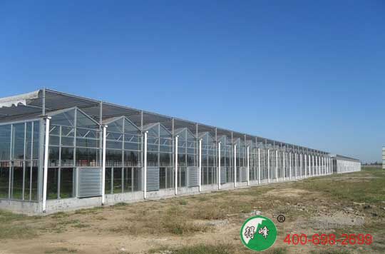 得峰农业承接智能温室建设(图1)