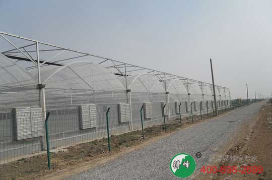 得峰农业承接智能温室建设(图2)