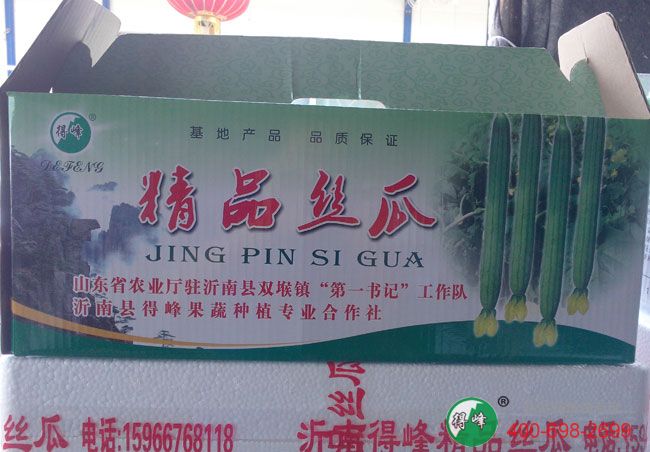 沂南得峰农业蔬菜合作社精品丝瓜概况(图3)