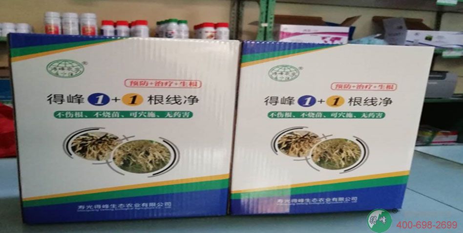 防治线虫、生新根，多效合一！得峰给您科学灭线新方案！！(图2)