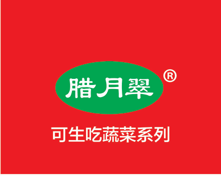可生吃蔬菜系列得峰腊月翠水果芹菜(图1)