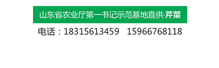 可生吃蔬菜系列得峰腊月翠水果芹菜(图4)