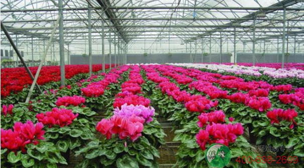 花卉温室(图4)