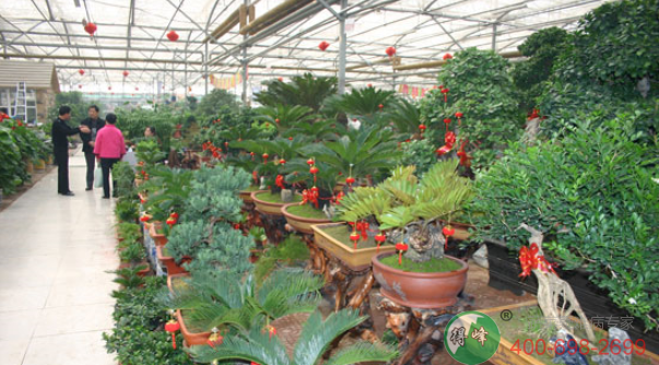 花卉温室(图5)