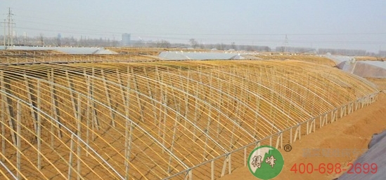 七代立柱弧形日光温室(图6)
