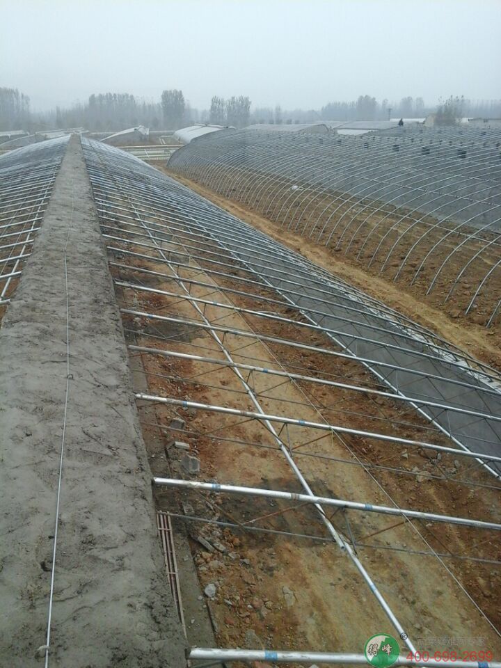 阴阳棚日光温室(图9)