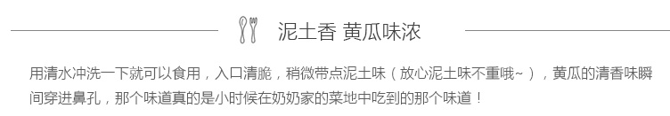 黄瓜(图2)