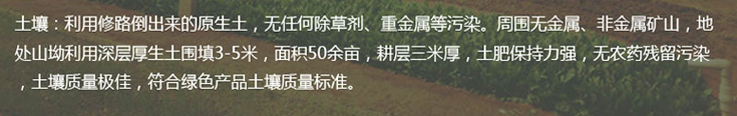 得峰富硒水果芹菜(图2)