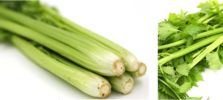 得峰富硒水果芹菜(图4)