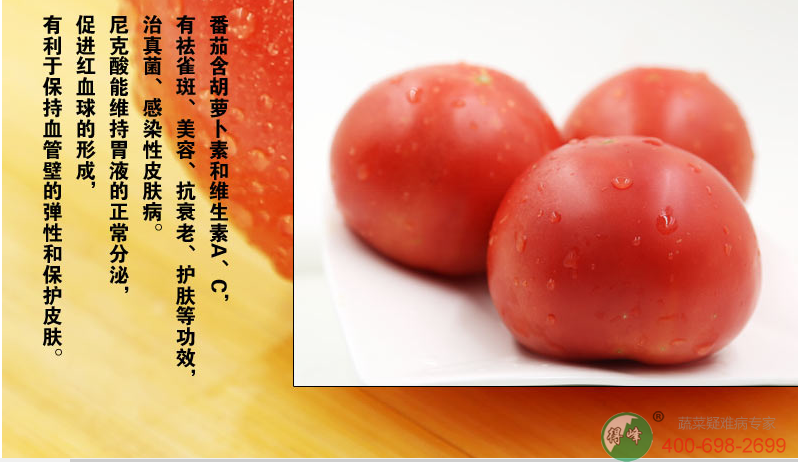 西红柿(图2)